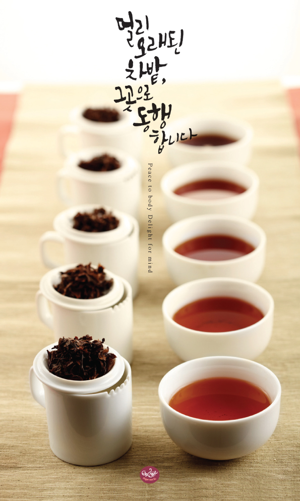 딜라이트 리플렛-숙-2